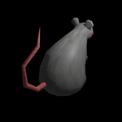 ratspin.gif
