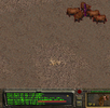 2025-06-05_14-50-32.png