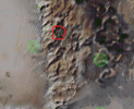 Screenshot 2025-06-09 231010.png