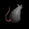 ratspin.gif